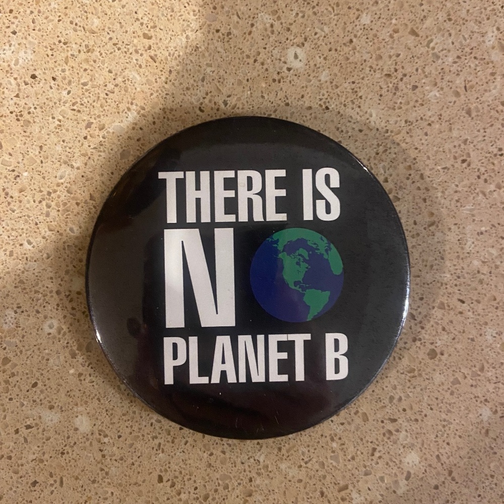 There is No Planet B pinback button large round